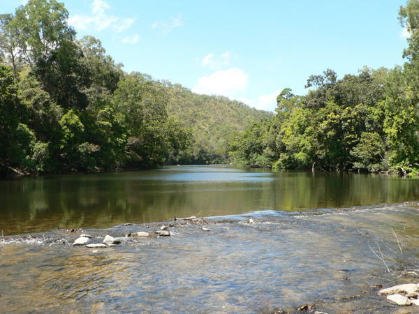 Bloomfield River