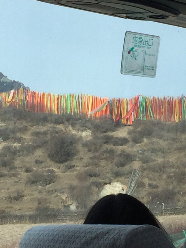 Tibetan flags
