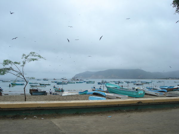 Hafen von Puerto Lopez
