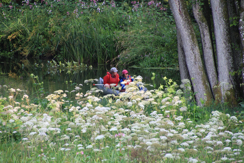 Kayaks amongst the widlflowers