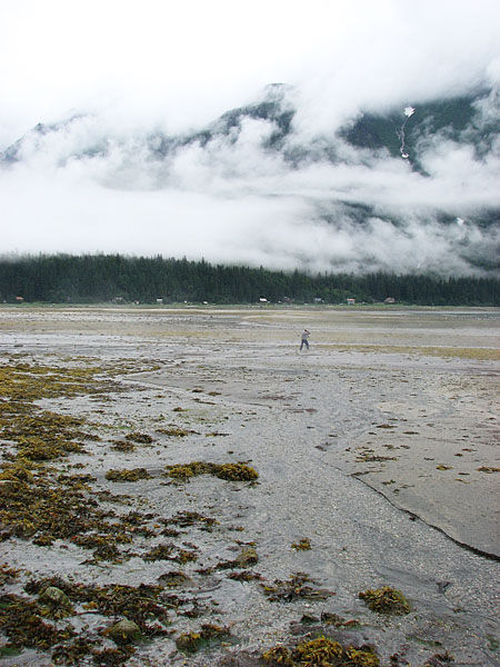 Low Tide on Chilkoot River