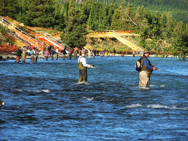 Combat Fishing on the Kenai and Russian Rivers
