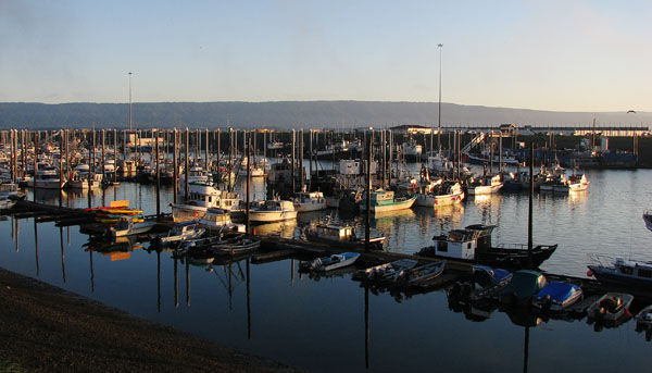 Homer Dock in the Morning
