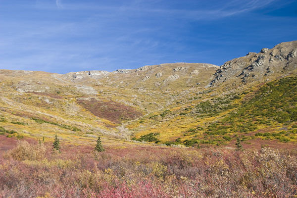 Fall Scenes in Denali National Park