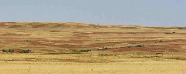 Colors on the Prairie