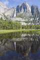 Yosemite Falls Reflection 