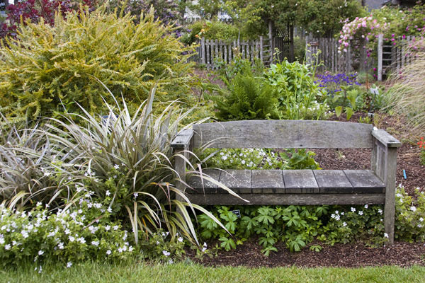 Bench at the Garden