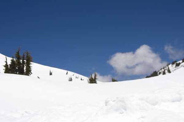 The Snow Covered Trail Up Mt. Lassen