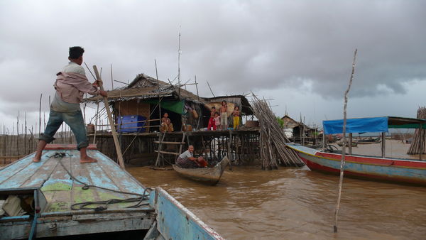 Flooded Forest og Komphong Phloung
