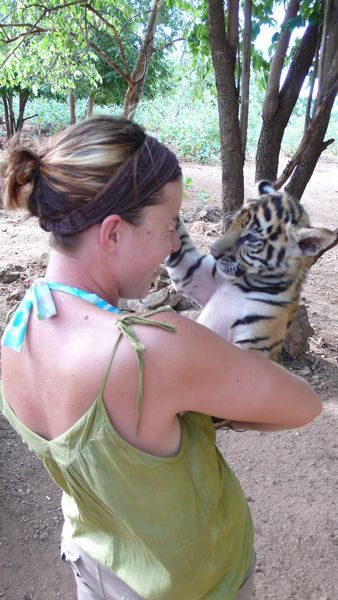But daddy i want a tiger cub NOW!!!