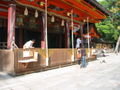 Yasaka-jinja