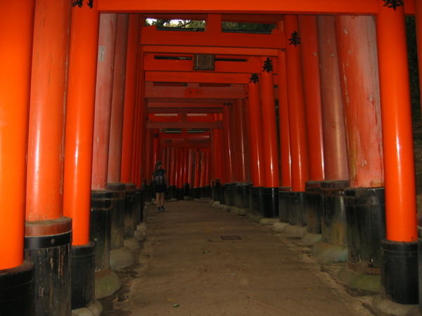Des torii, encore des torii
