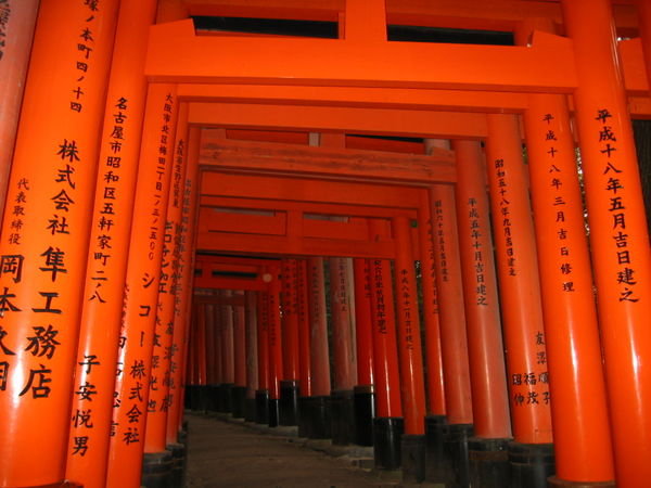 Au verso des torii