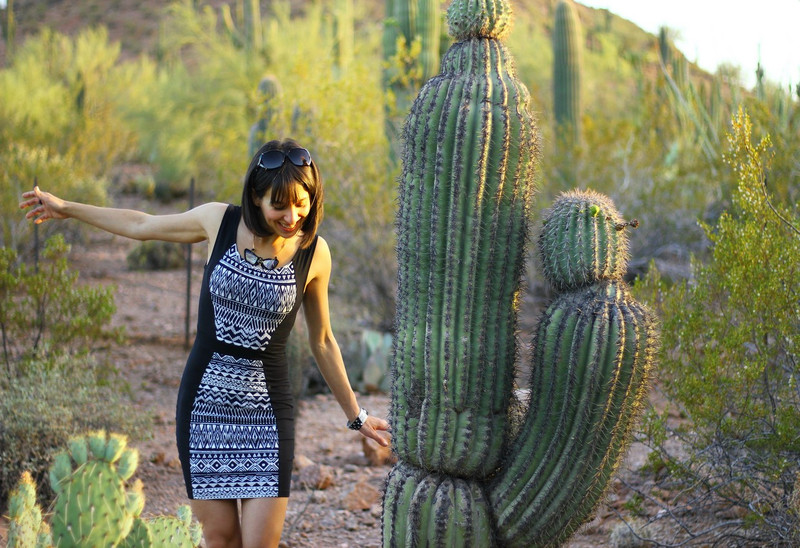 The Desert Botanical Garden in Phoenix, AZ 08