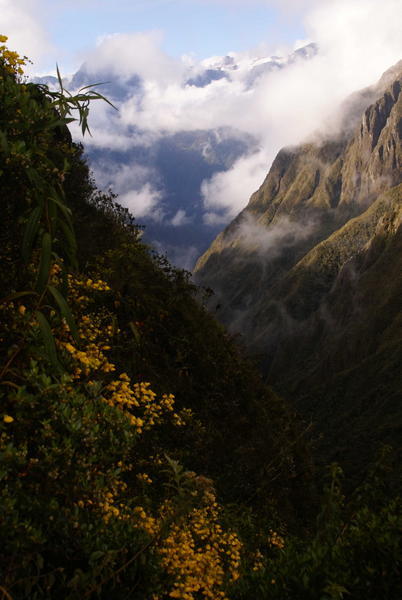 Inca Trail - Landscape1