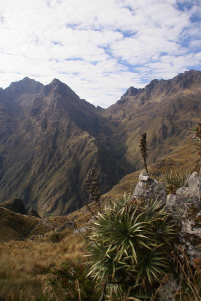 Inca Trail - Landscape3