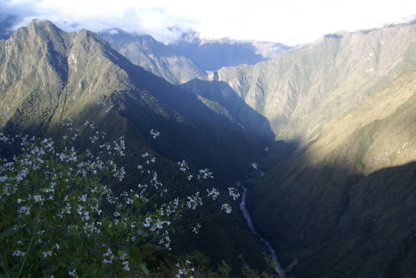 Inca Trail - Landscape6