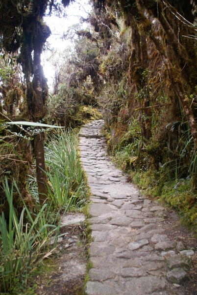 Inca Trail - Trail2