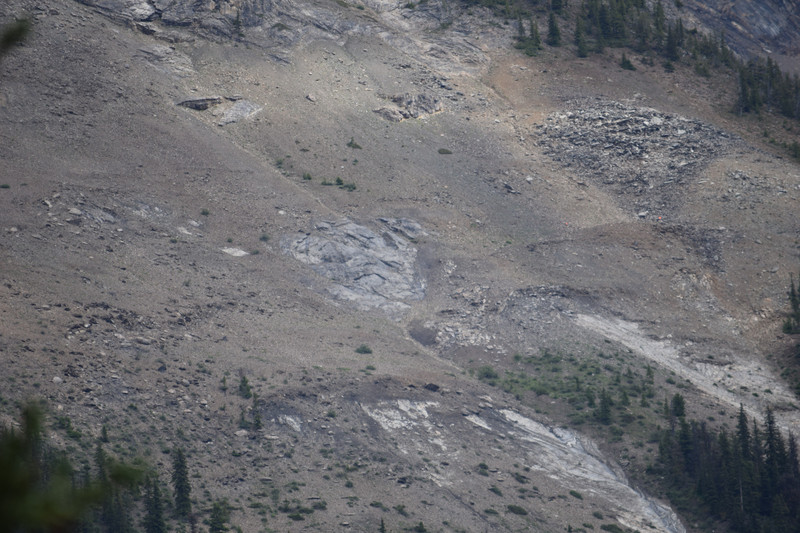 Trilobite Beds on Mt Stevens
