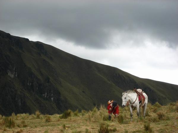Mestizo Horseman above Quito