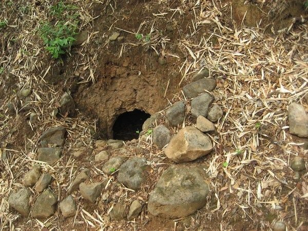 A bomb shelter for the rebels in the hills of El Salvador