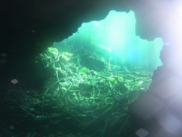 Cenotes Underwater Cave