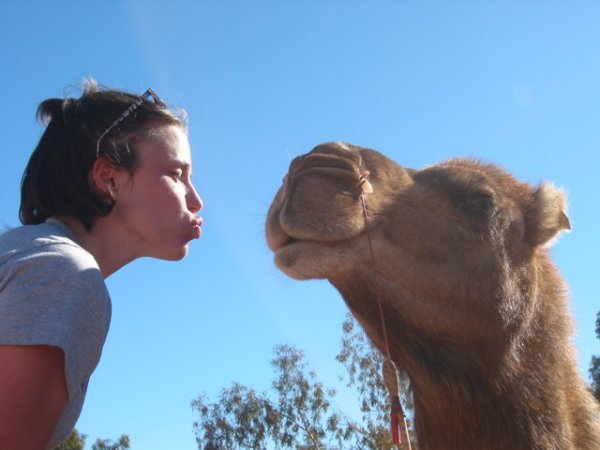 Camel Kisser