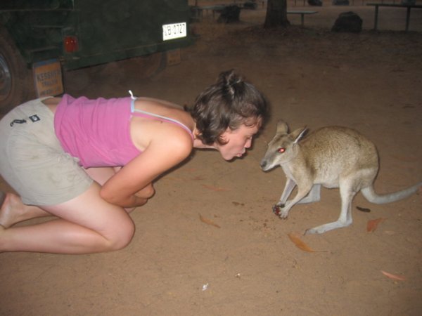 Wallaby Kisser