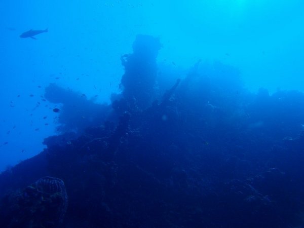 The Liberty Ship wreck