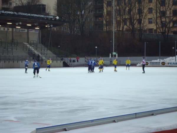 local ice hockey match
