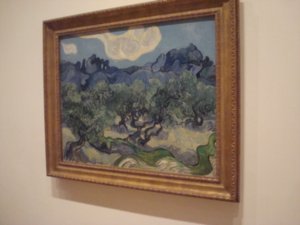 MOMA - van Gogh's olive tree
