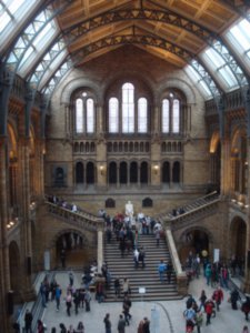 Natural History - grand hall