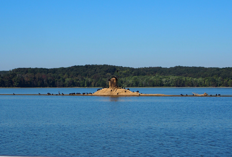 Island on Barkley Lake