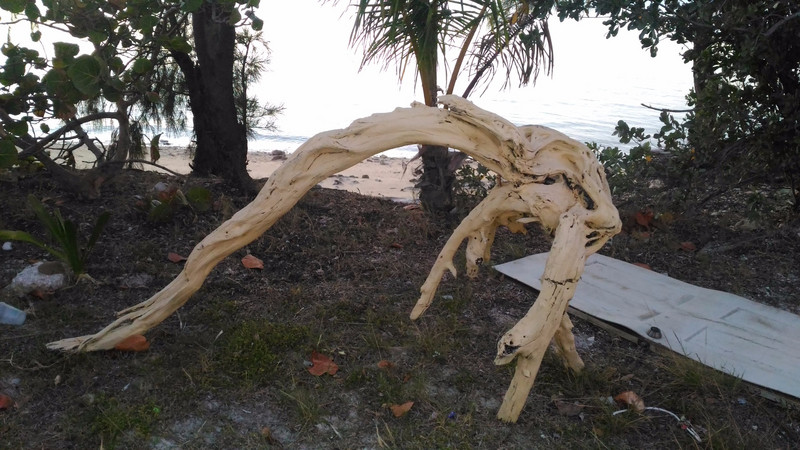 Driftwood on the side of the street in Black Point