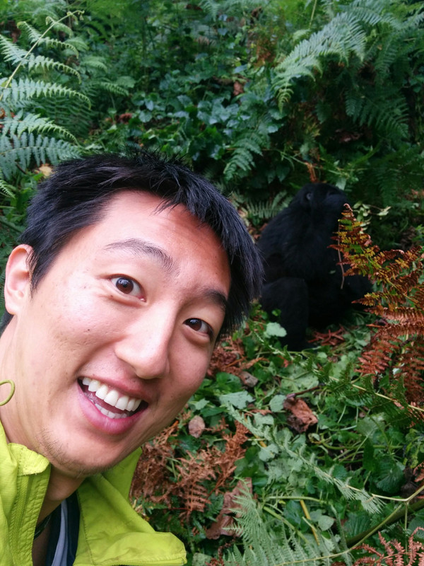 gorilla selfie 2
