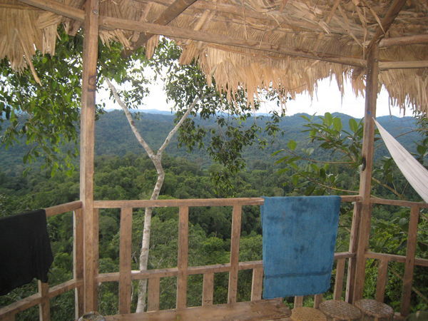 View from the tree house