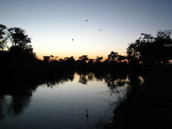 Sunrise over the Pantanal