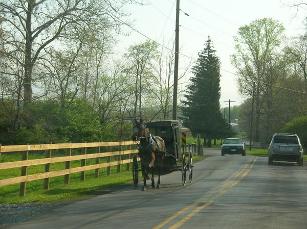 horse & Buggy