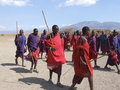 The Maasai recieve us in their traditional manner