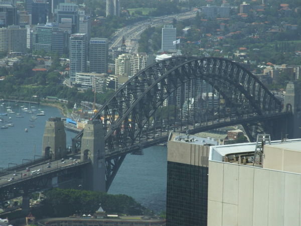 The Bridge from the Sydney Tower