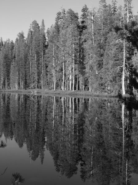 A mirror lake in black and white - Yosemite