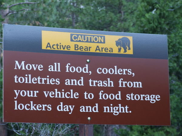 We saw the signs, but no bears.