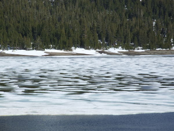 Still water with a dash of ice - Tioga Pass (Yosemite)
