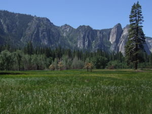 Meadows and Mountains