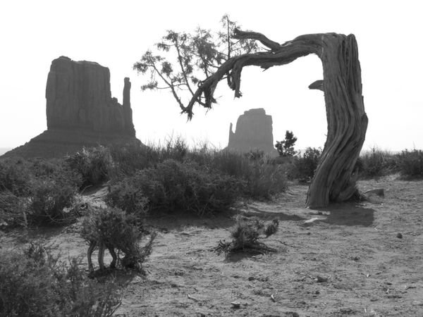 Getting arty in Monument Valley
