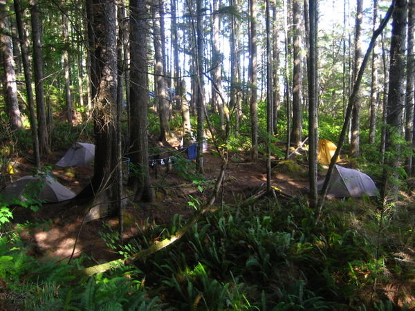 Tents in the woods