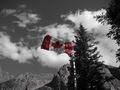 Canadian Flag picked out in red