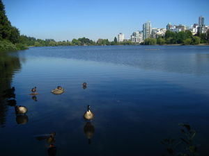 'Feedin ducks in the park, and wishin you were far away'