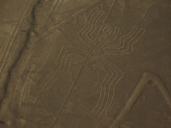 The Spider - Nazca Lines