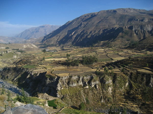 The terrace fields in Colca Canyon